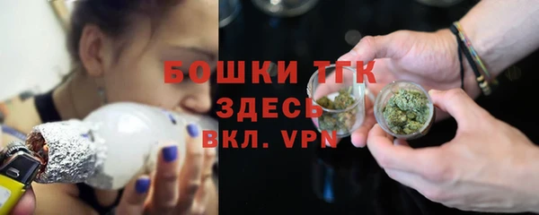 молекула духа Ростов