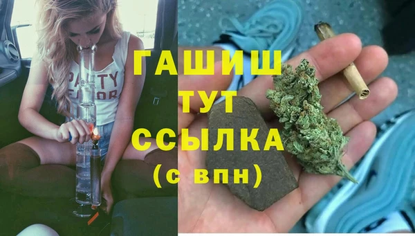 молекула духа Ростов