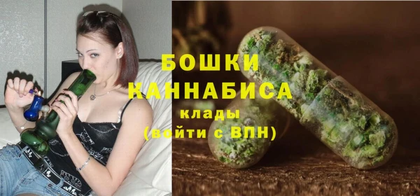 молекула духа Ростов