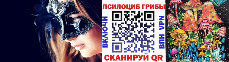 OMG онион  Верея  Галлюциногенные грибы мухоморы  даркнет сайт 